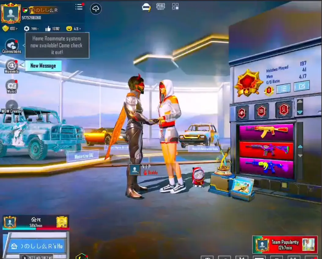 PUBG Mobile Accounts for Sale - Instant Delivery