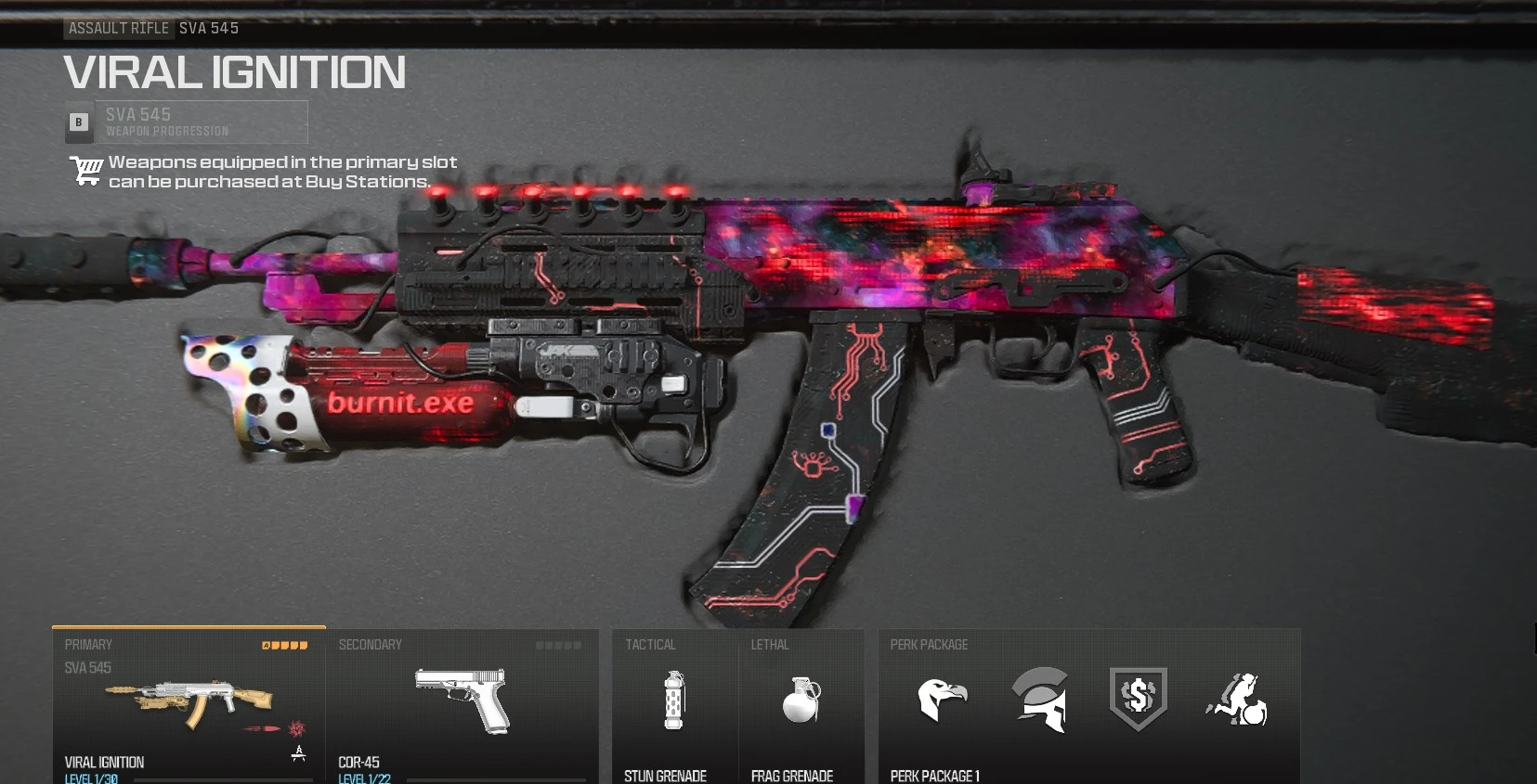 Buy PC,XBOX,PS LEVEL 100 【 INTERSTELLAR BOREALIS PRICELESS 】 【TRACER