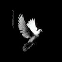 Eagle Store