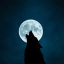 DarkInShadow