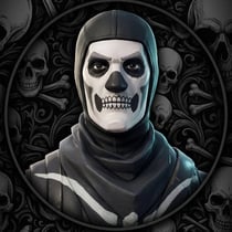 V-Vault Store