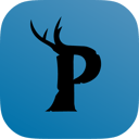 Palworld