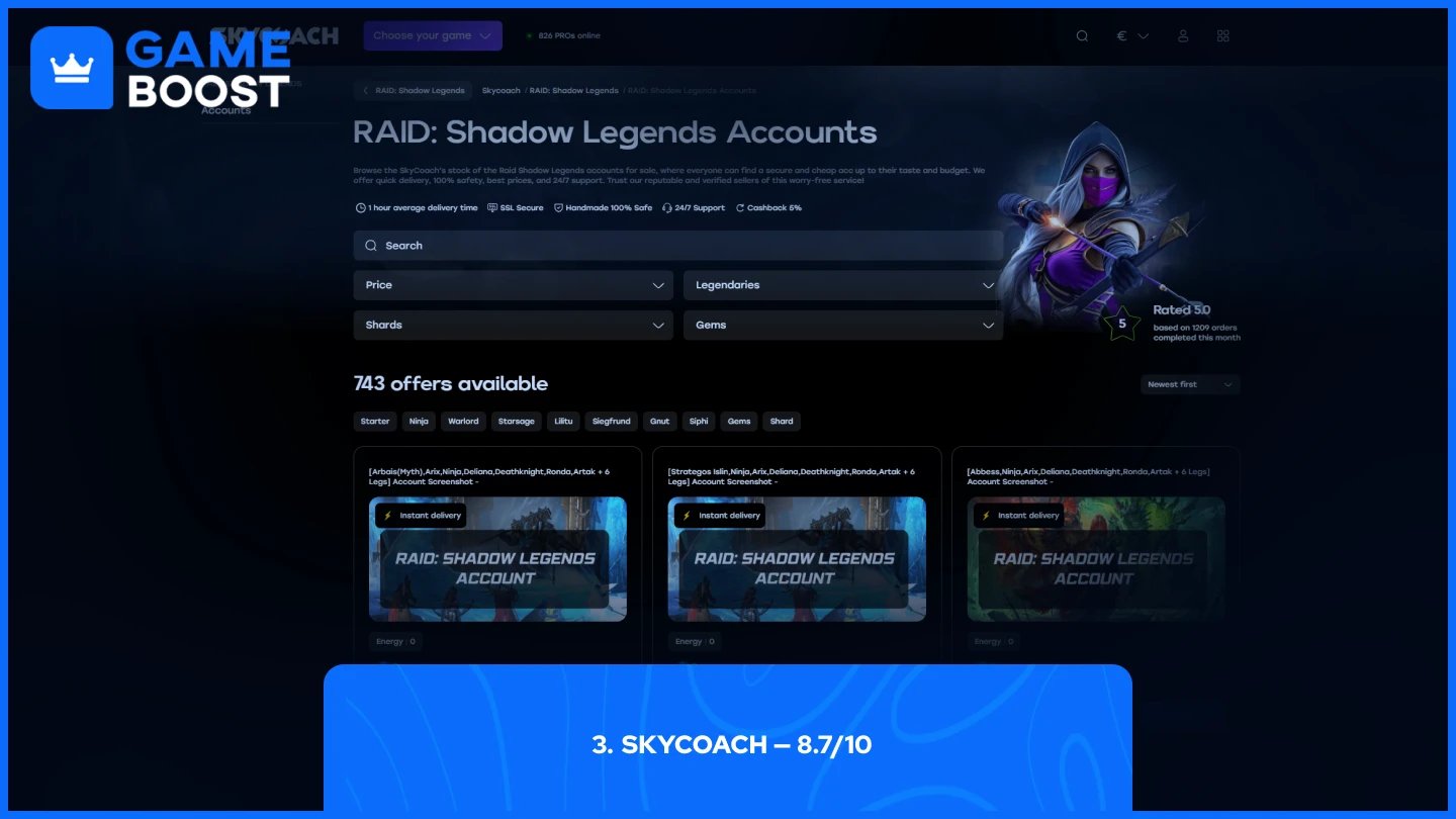 skycoach raid shadow legends accounts page