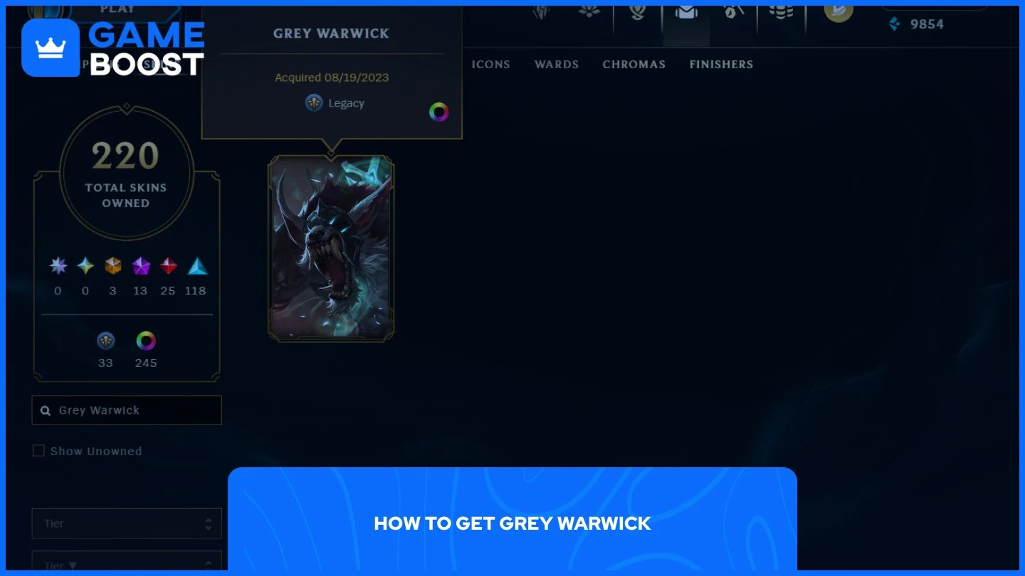 a picture of grey warwick in-game banner