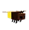 Kunang-kunang
