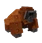 Orangutan