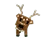 Rusa Spotted