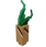 Mandrágora