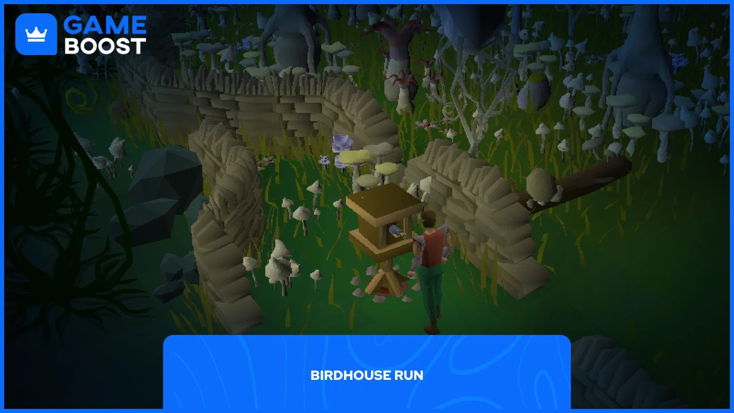 ein Bild eines Spielers vor einem Vogelhaus