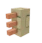 Amber Spine