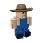 Gnomi