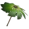 Palm Leaf