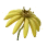 Nana-brella