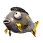 Midas Flopper