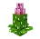 Blooming Cactus