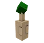 Dragon Sapling