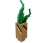 Mandrake
