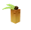 Persimon