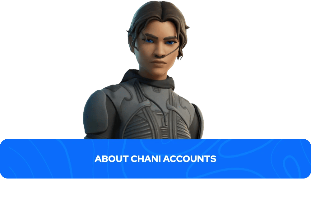 about chani accounts banner