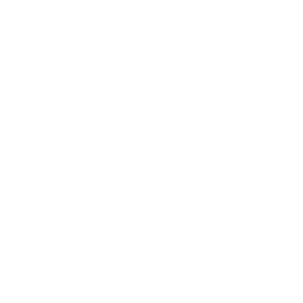Fortnite Slurp the Internet -emote