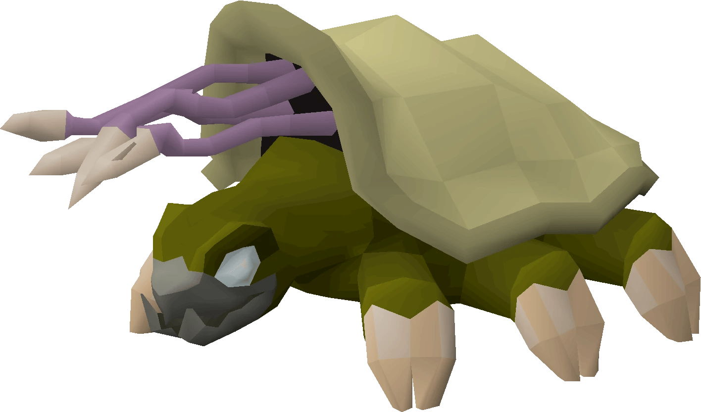 OSRS Förvriden Sköldpadda png