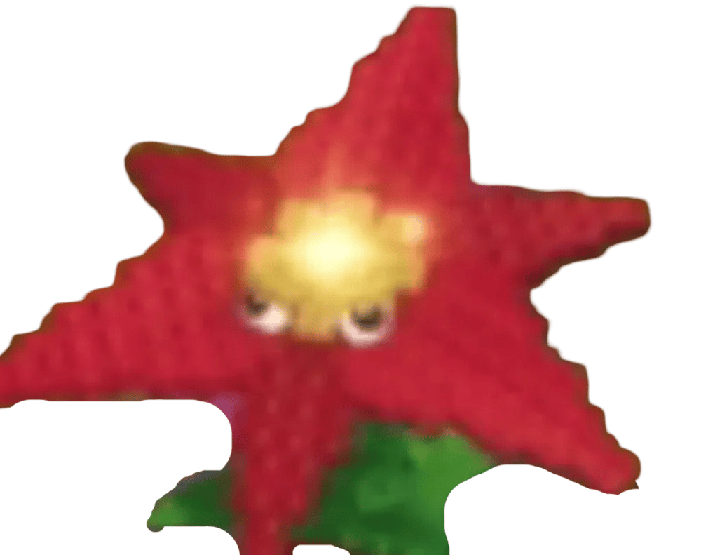 Floare de Poinsettia
