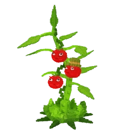 Tomatrio