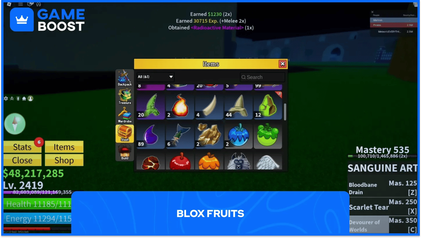 Blox Fruits gameplay