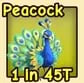 Peacock