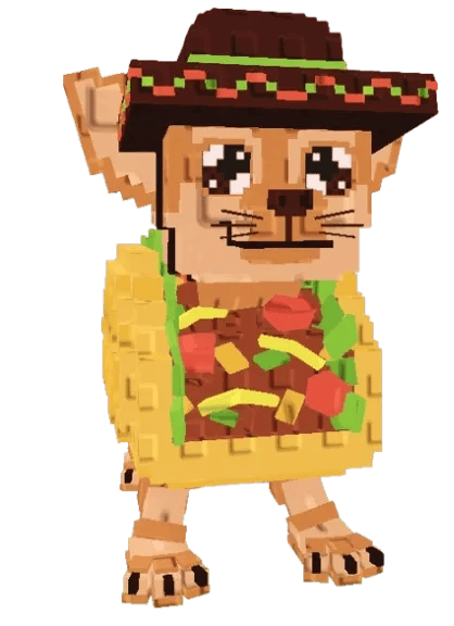 chihuanini taconini