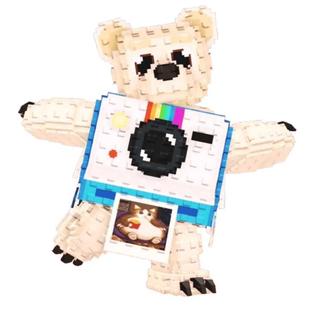 polaroidini