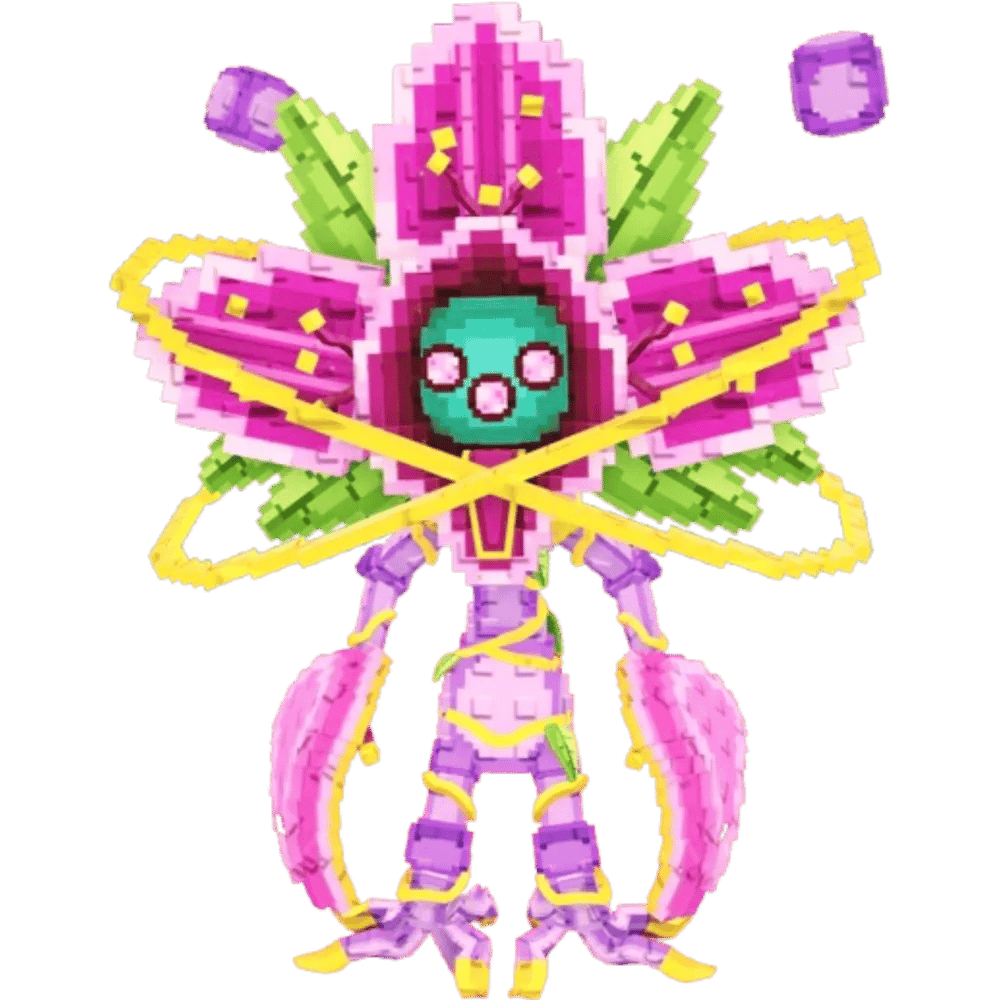 orchidox