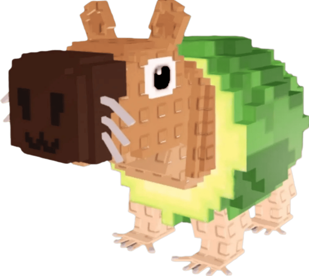pipi avocado