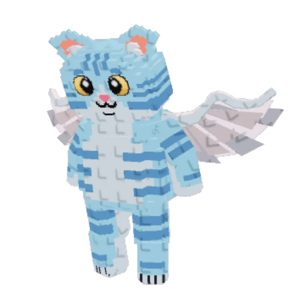 gato celesto