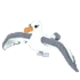 Adopt Me Albatross pet