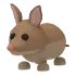 Adopt Me Bandicoot pet