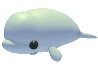 Adopt Me Beluga Whale pet