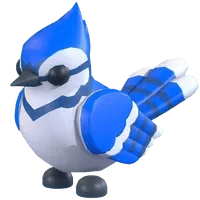 Adopt Me Blue Jay pet