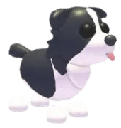 Adopt Me Border Collie pet