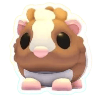 Adopt Me Chocolate Dutch Guinea Pig pet