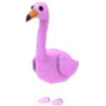 Adopt Me Flamingo pet