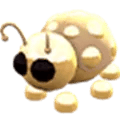 Adopt Me Golden Ladybug pet
