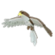 Adopt Me Hawk pet