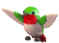 Adopt Me Hummingbird pet