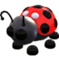 Adopt Me Ladybug pet