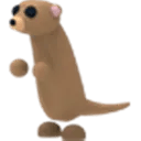 Adopt Me Meerkat pet