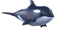 Adopt Me Orca pet