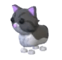 Adopt Me Persian Cat pet