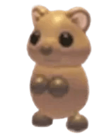 Adopt Me Quokka pet
