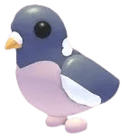 Adopt Me Wood Pigeon pet